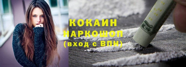 твердый Михайловск