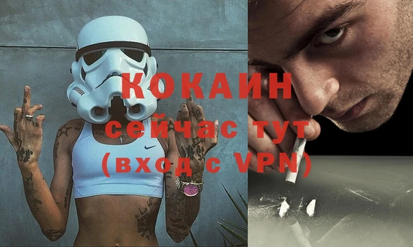 твердый Михайловск