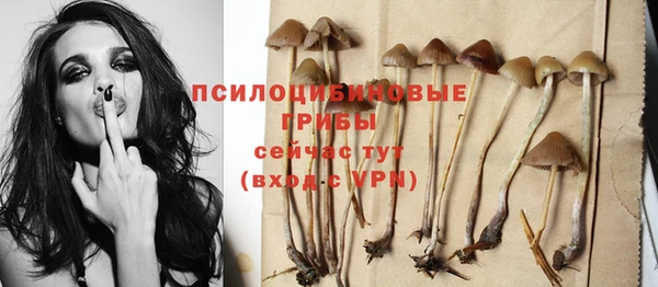 соль курить ск Михайлов