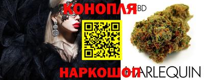 мяу мяу мука Гусев
