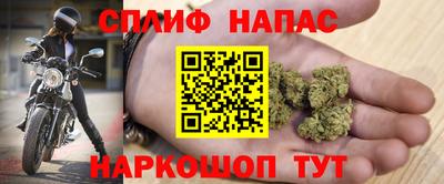 мяу мяу мука Гусев