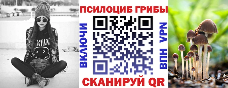 где купить   Кизляр  Псилоцибиновые грибы мицелий 