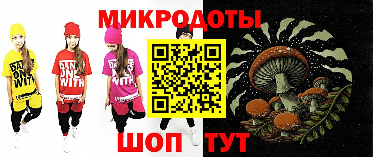 Псилоцибиновые грибы MAGIC MUSHROOMS  Кизляр  Псилоцибиновые грибы Cubensis 