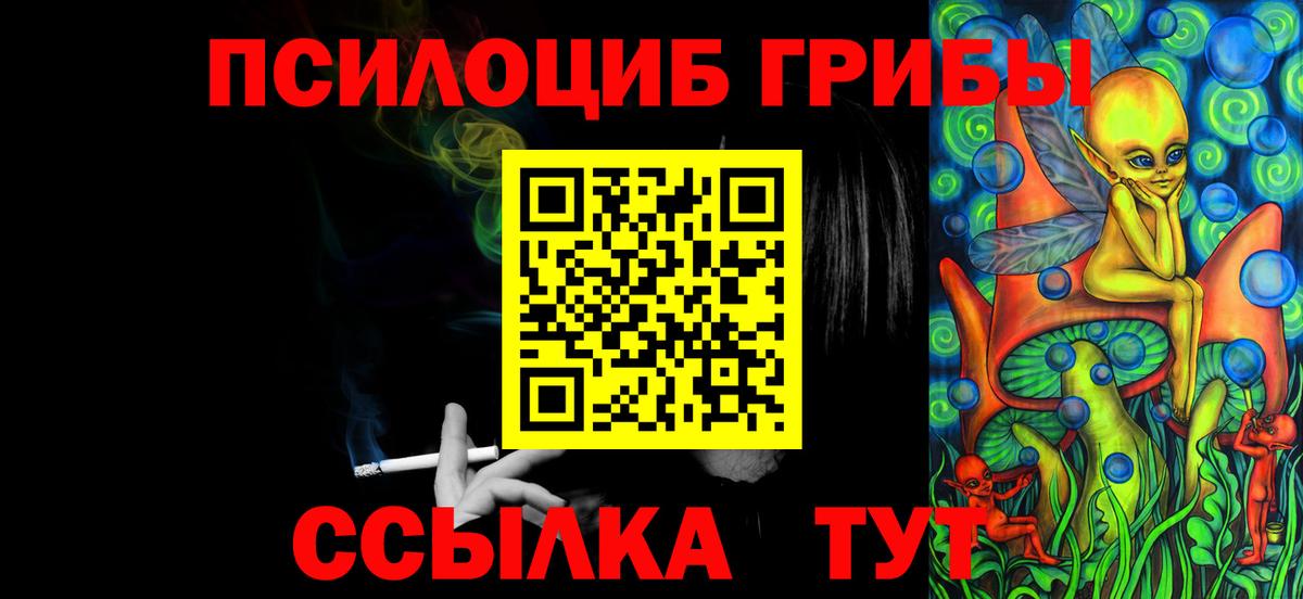 Галлюциногенные грибы GOLDEN TEACHER  Вход с VPN  Кизляр  Галлюциногенные грибы Psilocybine cubensis 
