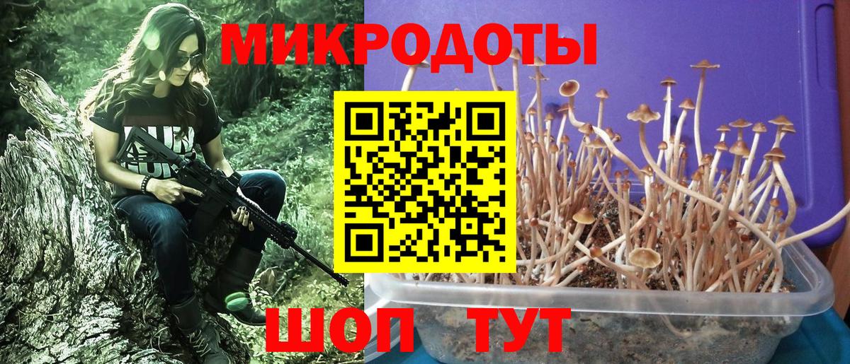 Марки  Каннабис  Alpha-PVP  МАРИХУАНА  Мяу-Мяу  МЕФ  Ляпка  Вход с VPN  Кизляр  Cocaine 