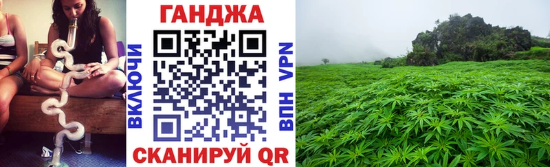 где продают наркотики МЕГА зеркало Канабис сатива Кизляр